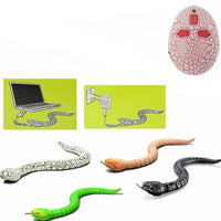 Remote Control Toy Snake